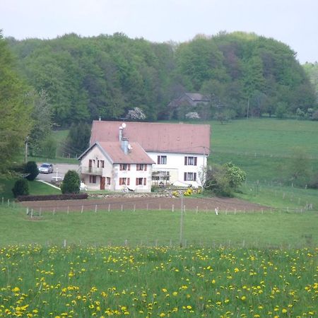 Gite Les Hirondelles Plombières-les-Bains Habitación foto